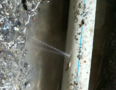 聊城市测漏水哪家好