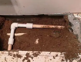 聊城市测漏水哪家好