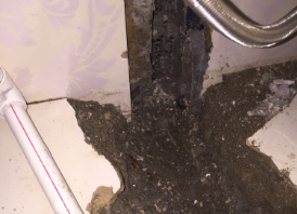 聊城市卫生间测漏水哪家好