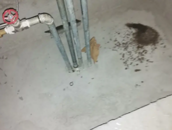 聊城市卫生间测漏水价格明细