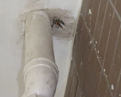 聊城市漏水检测哪家好